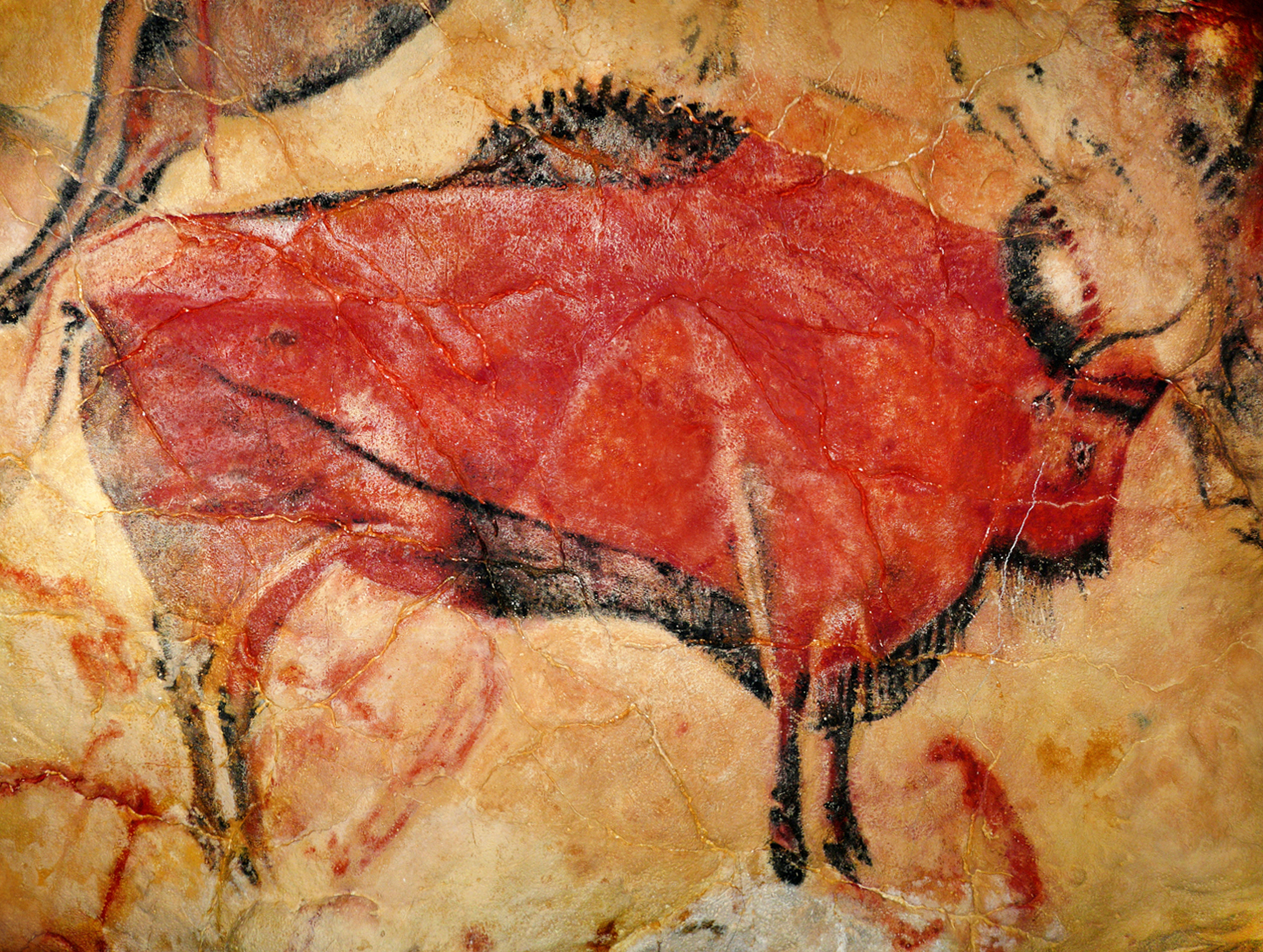 Bisonte di Altamira, 18.000-13.000 anni fa