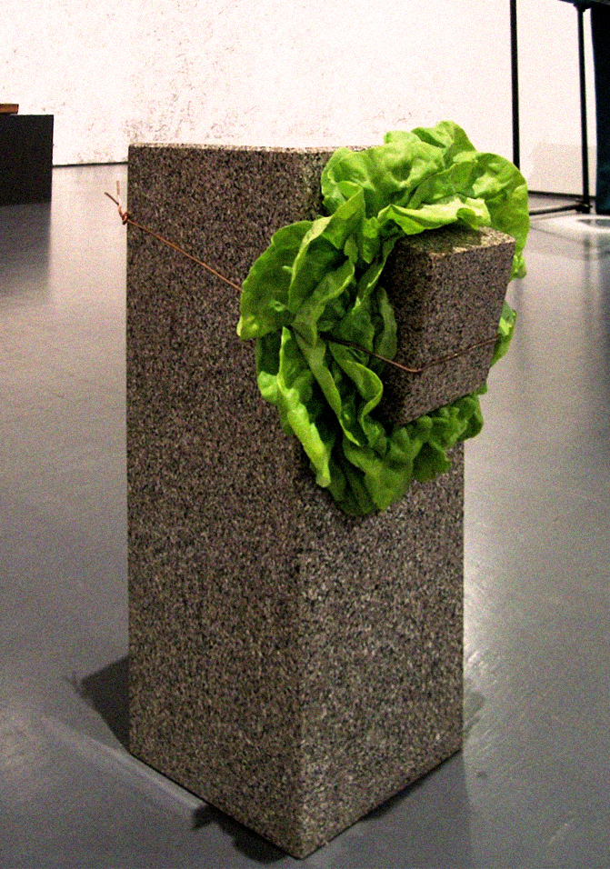 Giovanni Anselmo, Senza titolo, 1968