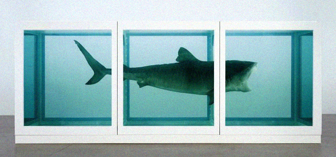 Damien Hirst, L'impossibilità fisica della morte nella mente di un vivo, 1991